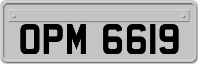 OPM6619