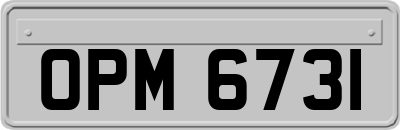 OPM6731