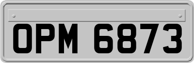 OPM6873