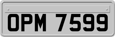 OPM7599