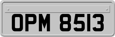 OPM8513