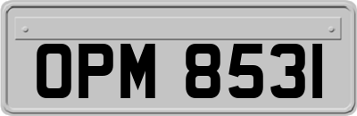 OPM8531