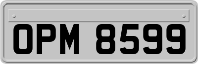 OPM8599