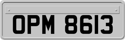 OPM8613