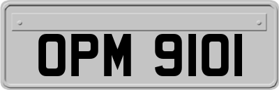 OPM9101