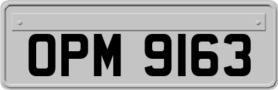 OPM9163