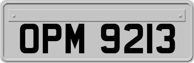 OPM9213