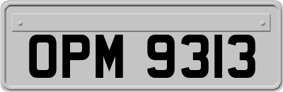 OPM9313