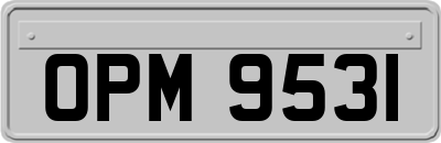 OPM9531