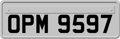 OPM9597