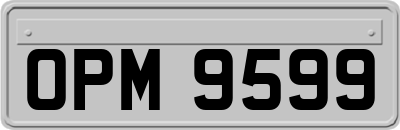 OPM9599