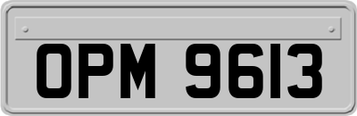 OPM9613