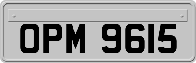 OPM9615