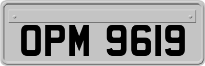 OPM9619