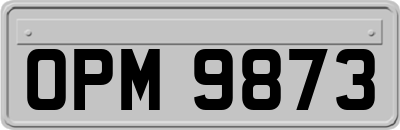 OPM9873