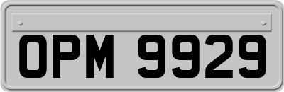 OPM9929