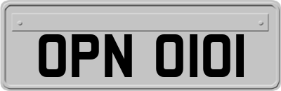 OPN0101