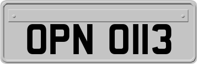 OPN0113