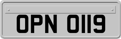 OPN0119