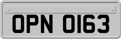 OPN0163