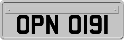 OPN0191