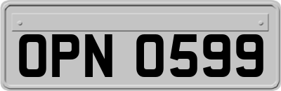 OPN0599