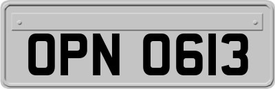 OPN0613