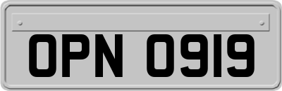 OPN0919