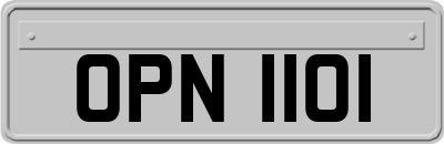 OPN1101