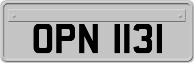 OPN1131