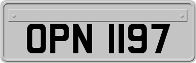 OPN1197