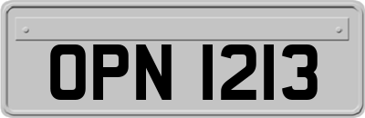 OPN1213