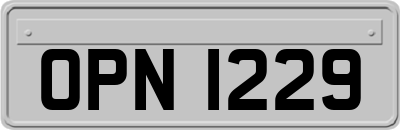 OPN1229