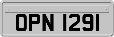OPN1291