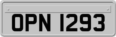 OPN1293