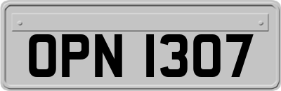 OPN1307