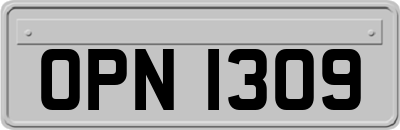 OPN1309