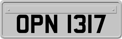 OPN1317