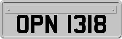 OPN1318