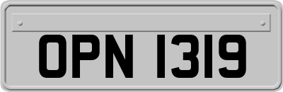 OPN1319
