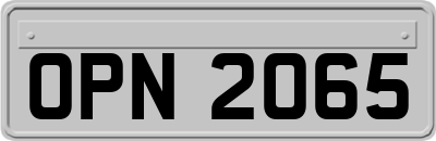 OPN2065