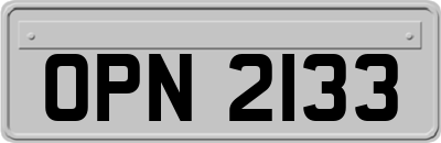 OPN2133