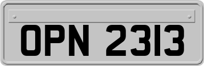 OPN2313