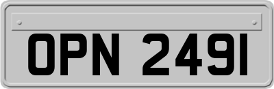 OPN2491