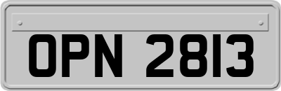 OPN2813