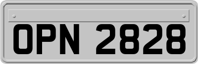 OPN2828