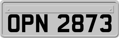 OPN2873