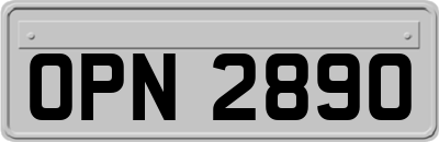 OPN2890