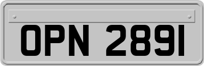 OPN2891