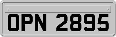 OPN2895